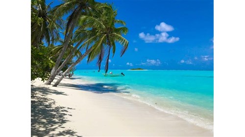 Paradise found: Maldives beach bliss