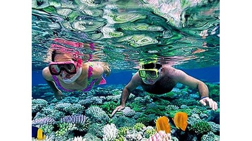Snorkeling in Cozumel