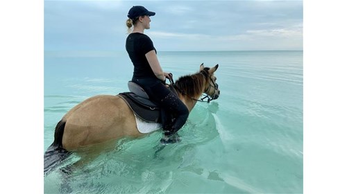 Horseback Riding in Turks & Caicos