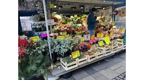 Flower Market in Marienplatz, Munich, Germany 2023