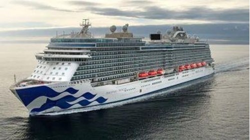 The Discovery Princess at Sea