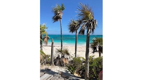 Chris Rakes - luxury travel advisor