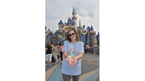 Disney World, Norwegian Cruise Line and Sandals 