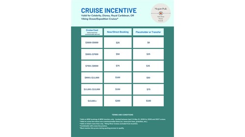 Cruise Incentive and Terms and Conditions