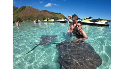 Stingrays in Moorea
