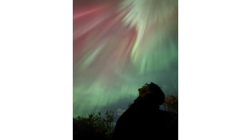 The Northern Lights will take your breath away.