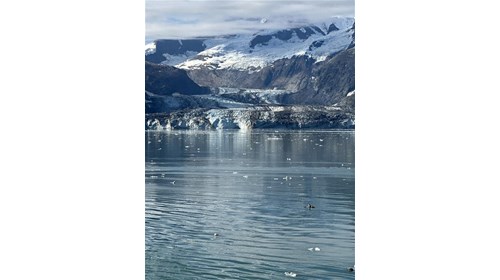 One of the glaciers in Glacier Bay National Park