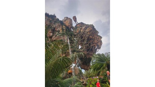 Disney Animal Kingdom, Pandora