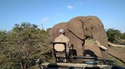 On one of my safari trips!