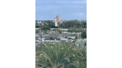 The Magic Kingdom