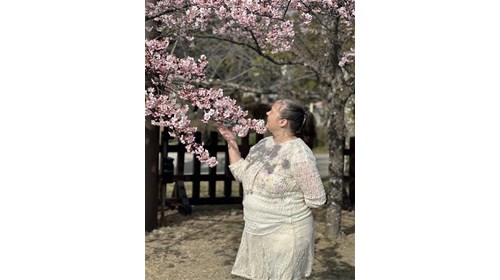 Early-blooming cherry blossoms at Odawara Castle.