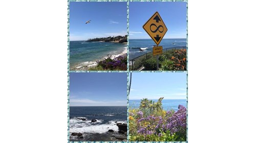 Vitamin "Sea" cures what ails you!