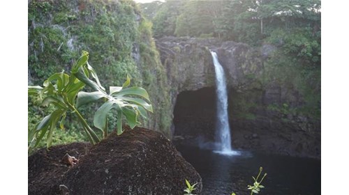 Rainbow Falls - Hawaii