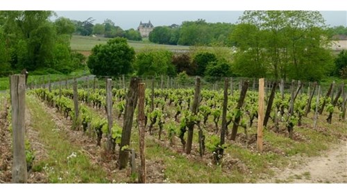 Sauternes, France
