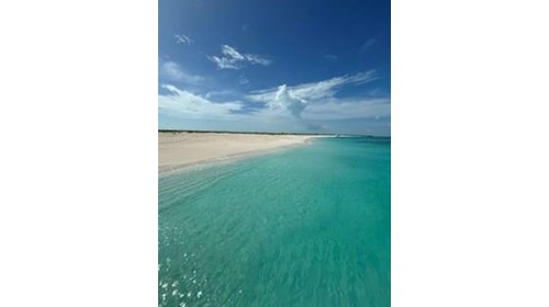 Caribbean and Disney Destinations