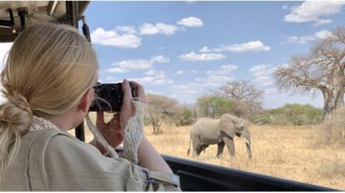 Up close with the wildlife in Tanzania