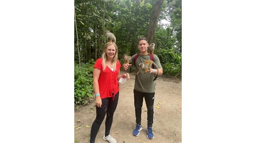 Monkey Island 