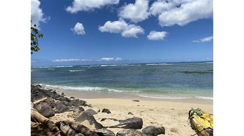 Enjoying a beautiful day in Honolulu, Hawaii