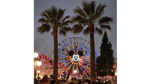 Disneyland Ferris Wheel