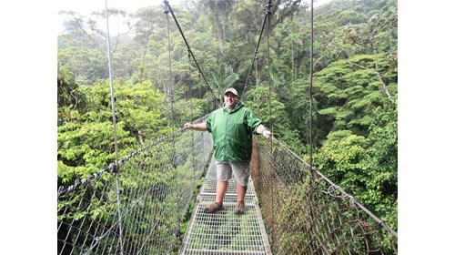 Hanging Bridges In Costa Rica
