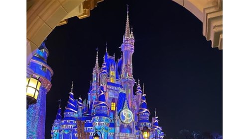 Disney World 50th Cinderella's Castle at Night