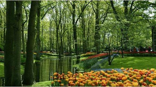 Keukenhof Gardens 