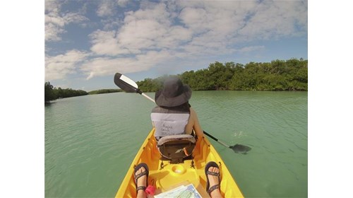 kayaking in the everglades of Florida