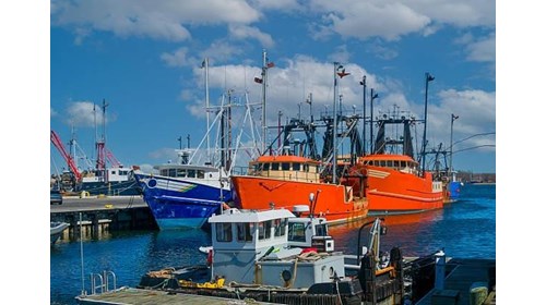 Fishing boats in New Bedford