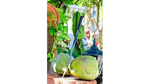Coconut Drinks