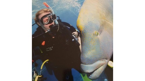 Wally the Maori Wrasse & me The Great Barrier Reef
