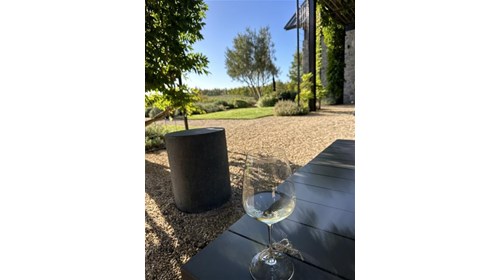 Santa Ynez Fall Afternoon at Brave & Maiden Estate