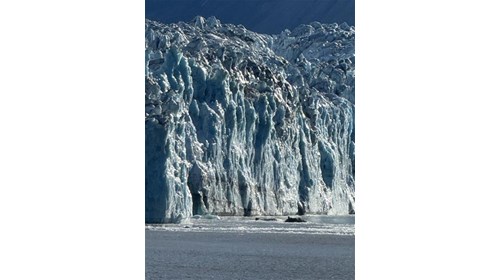 Glacier Bay National Park, Alaska