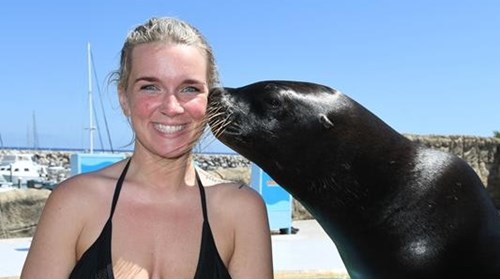 Dominican Republic Sea Lion Encounter!