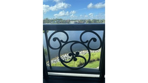 Hidden Mickey!