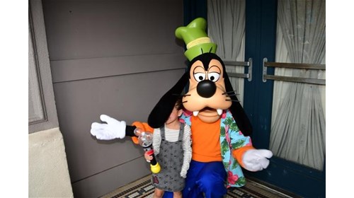 Meet and Greet With Goofy At Hollywood Studios