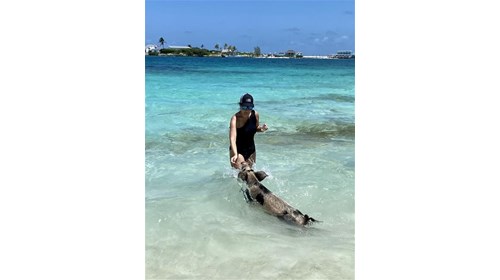 Swimming with the Pigs, Bahamas