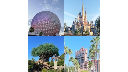 Walt Disney World is such a magical place! 