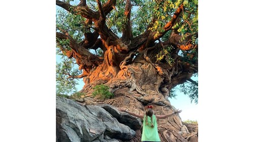 One of my favorite places-Animal Kingdom! 