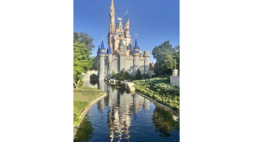 Disney Travel Specialist