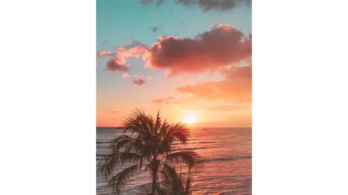 Hawaii  February 2023