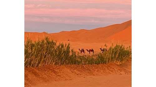 The Sahara Desert is so peaceful and serene! 