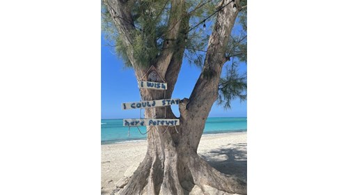 My favorite vacation spot - Beaches Turks & Caicos