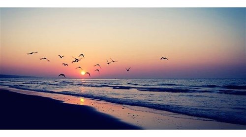 Daytona Beach