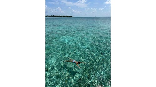 Honeymoon aficionado