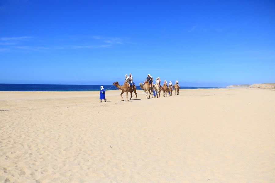 Cabo San Lucas