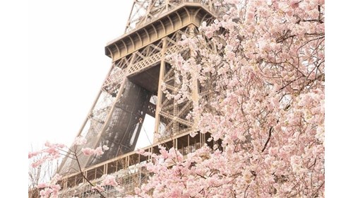 Paris in Spring