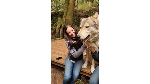 Hiking with wolves in Washington!