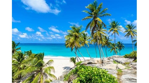 The Caribbean is waiting for you!