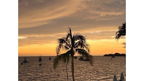 Jamaica at Sunset