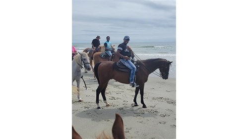 Horseback riding Myrtle Beach South Carolina